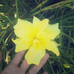 Meet your Posher, Thaissa